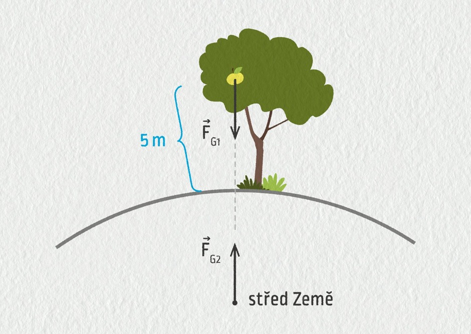 Scientific Basis: The Principle of Gravity